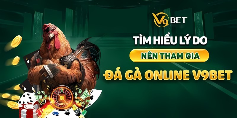 Khám phá thông tin thú vị về thiên đường săn thưởng Đá gà V9BET